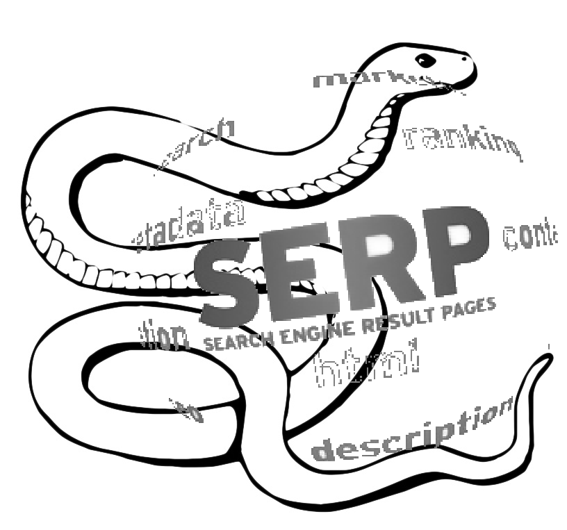 Search engine results page o SERP croce e delizia dei seo experts